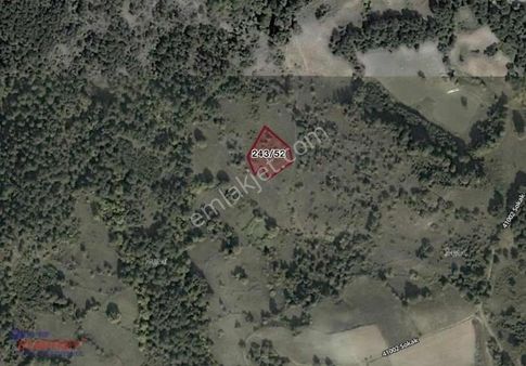 Balıkesir Sındırgı Mevkii Satılık Tarla