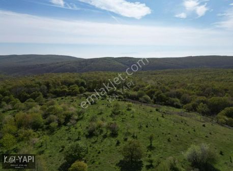 Doğayla İç İçe Hobi Bahçesi