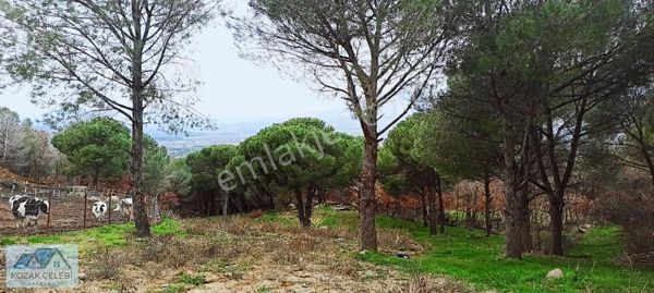 Kozak Yaylası Elektrik Su Ve 100 M2 Yapısı İle 1450 M2 Arsa