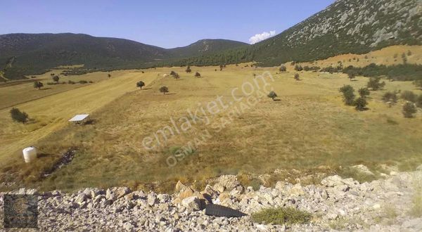 Antalya Çevreyoluna Sıfır Müstakil Tapulu Özel Arazi 7500m2