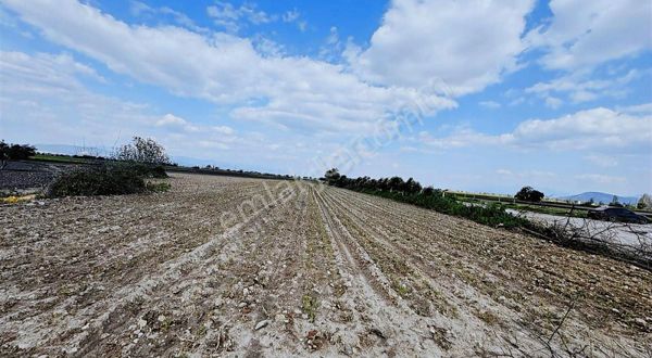 Torbalı Otoban Dibinde İki Hisseli 5.000m2 Tarla Resmi Yol Cephe