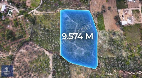 İmar Sınırına Yakın Satılık Tarla