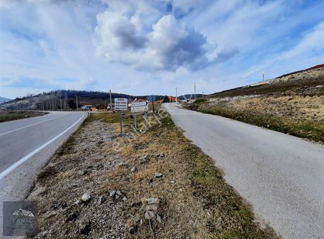 Bilecik Merkeze Yakın 1214m² Kadastral Yola Cephe Satılık Arsa