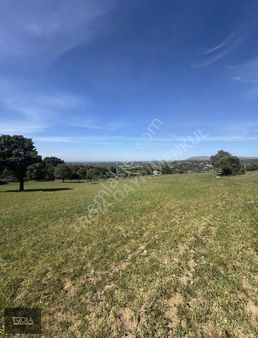 Ezine Belen Köyünde 11.000 M² Kadastro Yola Cephe