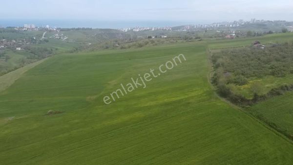 **kamalıda Deniz Manzaralı Yatırımlık Tarla**