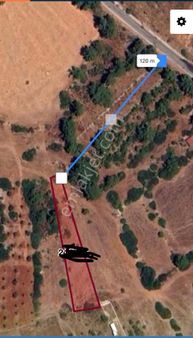 Bodrum Mazı Bahçe Kuyusu Mevki 1.500 M2