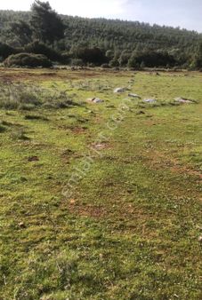 Bodrum Mazı Bahçe Kuyusu Mevki Satılık Arsa 1.300 M2