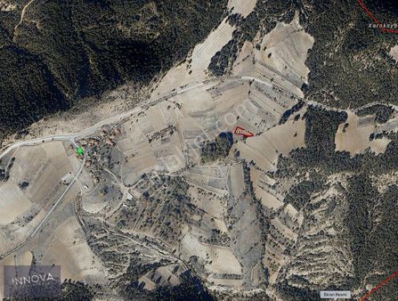 Bilecik Gölpazarı Dokuz Köy Bolgesinde Satılık Tarla