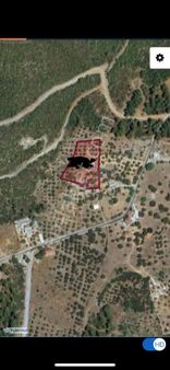 Bodrum Mazı Çamlıca Mevki Satılık Zeytinlik 4 Bin M2