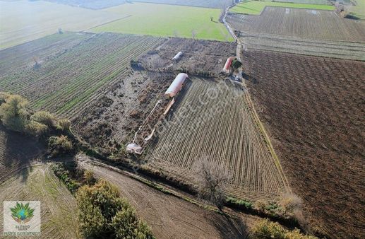 Pasifik'ten Sadıkpaşa' Da 10600 M² Suyu Elektriği Olan Arazi