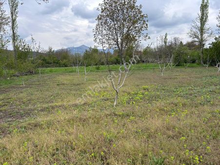 Asya Evim Emlaktan Ağlasun Sakarca Mah. De Satılık Hobi Bahçesi