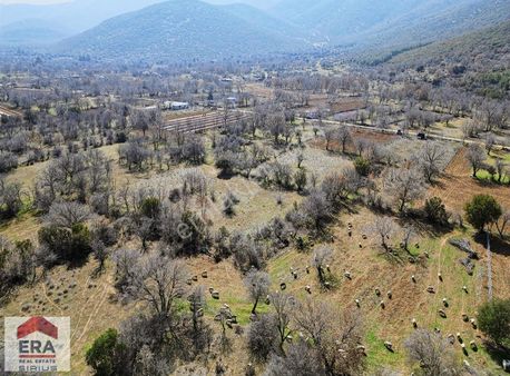 Denizli Tavas Merkeze 5 Km Uzaklıkda (hobi Bahçesi) Satılık Bağ