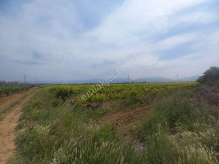 Startkey Platin'den Sancaklıbozköy'de 17 Dönüm Tarla