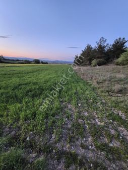 Bayramiç Pınarbaşı Köyü Ovasın Da Tarla