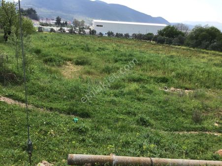 Muğla Menteşe Salıhpasalar Mahallesinde