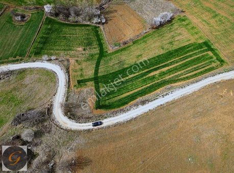 İnegöl Tekke Köyünde 160 Metre Yola Cepheli Satılık Tarla