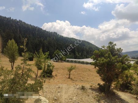 Aslan'dan Kızılbağ'da 11.580 M2 Yol Cepheli Satılık Tarla