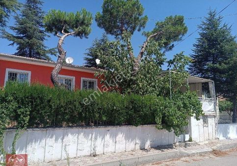 Yeşillikler İçinde Müstakil Ev