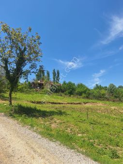 Tek İşim Gayrimenkul'den Bursa İnegöl Eskiköyde 1.487 M²