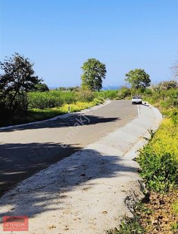 Kandıra Bollu Denize Yakın Fındık Bahçesi