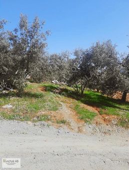 Fethiye Bozyer Mh 1338 M2 Tek Tapu Mustakil Arazi