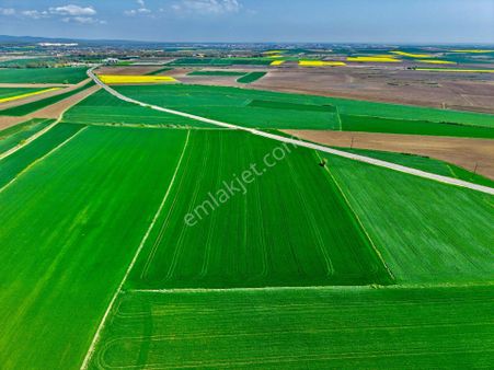Tekirdağ Saray Edirköy 31.186 M² Müstakil Tapulu Tarla