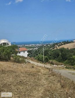 Samsun 19 Mayıs Dereköyde Fırsat 525m²satılık Villa Arsası!!