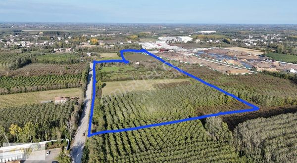 Samsun Çarşamba Eğercili De Satılık Ticari İmarlı 61 Dönüm Tarla