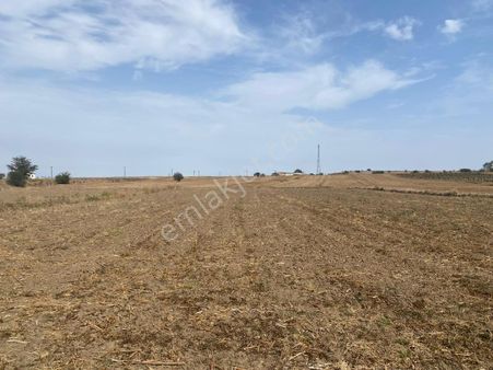 Lüleburgaz Çiftlikköy'de Asfalta 50m Yakın Yatırımlık Arazi