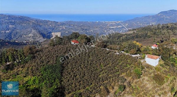 Oğmaca'da Satılık 12736 M2 Arazi Ve İçinde 3 Katlı Evi Dahil