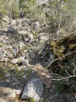 Konyaaltı Üçoluk Yatırımlım Tarla