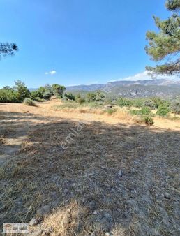 Muğla Milas Alatepe Köyünde Satılık 13000 M2 Tarla