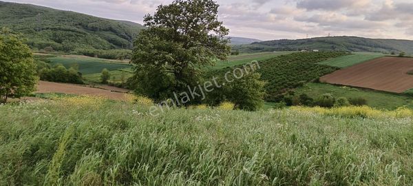 Kocaeli Kandırada Satılık Arazi