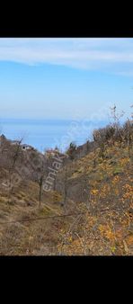 İmarlı Fındık Bahçesi