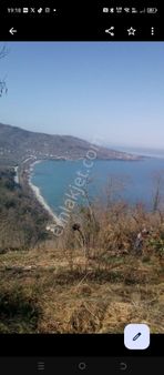 Perşembe Ramazan Mahallesinde 6950m2 12 Vbungola Ev Yapılıyor