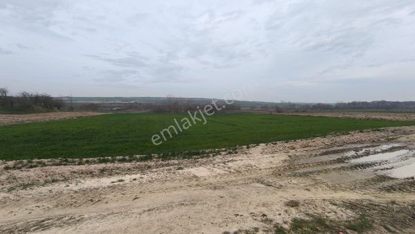 Saray Çayla En Uygun Tarla