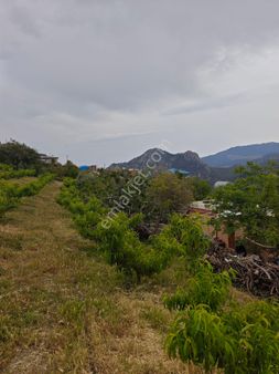 Mezitli Kocayer 4300 M2