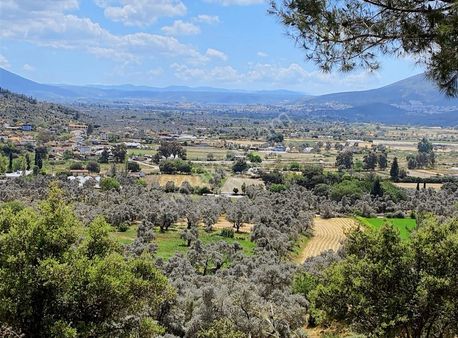 Milas Kızılcayıkık Ev Araba Takaslı Zeytinlik!!!!!!!!!