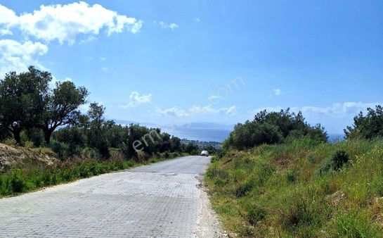 Kuşadası Soğucakta Ful Deniz Manzalı Katkarşılığı Villa Arsası