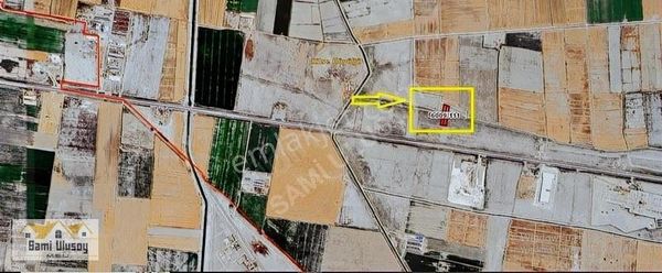 Sakyatan Kaçmayacak Cazip Arziler