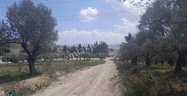 Antakya Kuzeytepe Mahallesi 3 Kat Konut İmarlı 639 M2 Alanlı Satılık Arsa