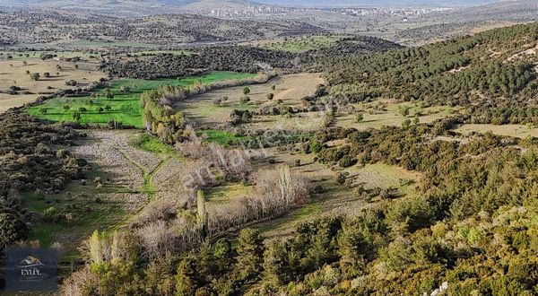 Ezine Geyikli Arasında Doğa İle İç İçe Satılık Tarla