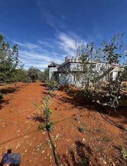 Döşemealtı Yağca Mah. 740 M2 Arsa İçinde Müstakil Satılık Ev