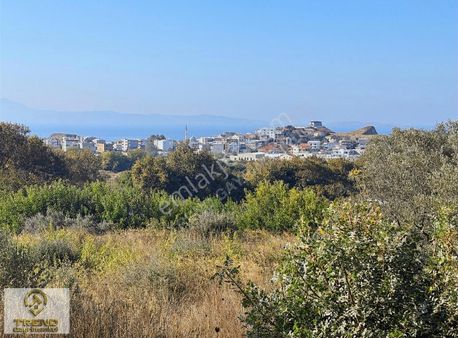 Sahil Yenice'de Deniz Manzaralı 490 M2 Kelepir Satılık Arazi