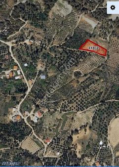 Arsaköy Yakın Satılık Elmalı Tarla