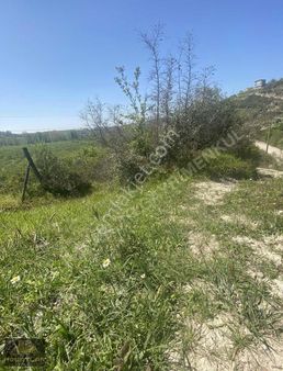 Karasu Darıçayırında 2 Dönüm Satılık Tarla!!!