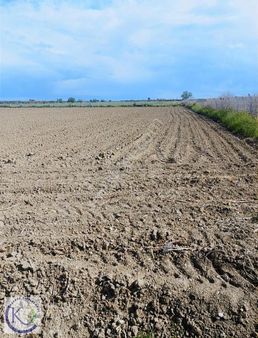 Tarsus Mahmutağa Köyü'nde Satılık 8.500 M Tarla