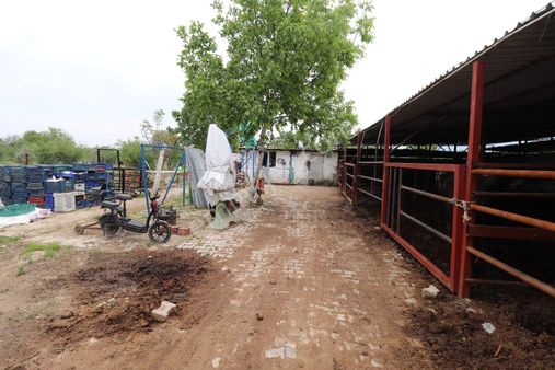 Armutlu Hürriyet Mahallesinde İçinde Besi Damı Olan 3511 M2 Bahçe