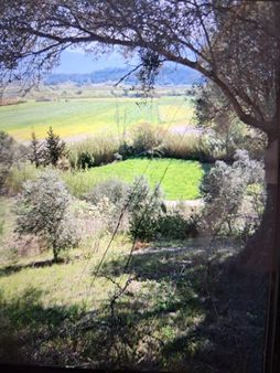 Seydikemer Demirlerde Tek Tapu 6.334 M2 Satılık Tarla