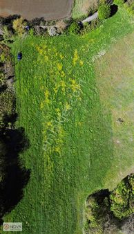 Sakarya Kaynarca Da Osb Ye Ve Merkeze Yakın